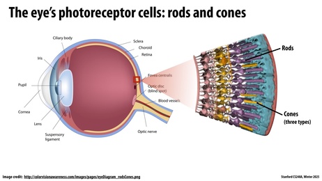 Thumbnail for slide 29