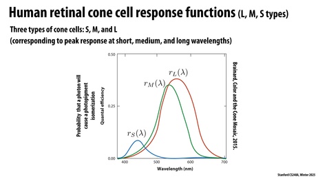 Thumbnail for slide 31