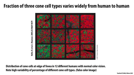 Thumbnail for slide 33