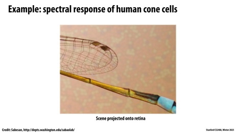 Thumbnail for slide 39