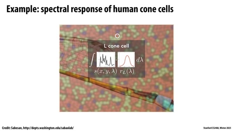 Thumbnail for slide 40