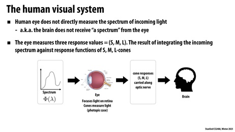 Thumbnail for slide 44