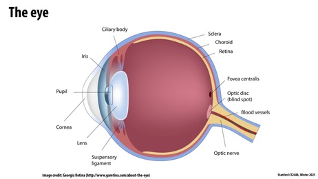 Thumbnail for slide 42