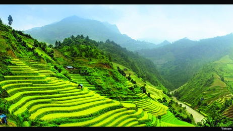 Thumbnail for slide 7