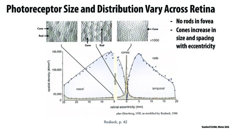 Thumbnail for slide 61