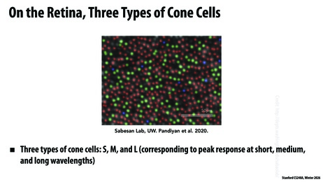 Thumbnail for slide 64