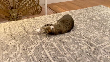 Thumbnail for slide 47