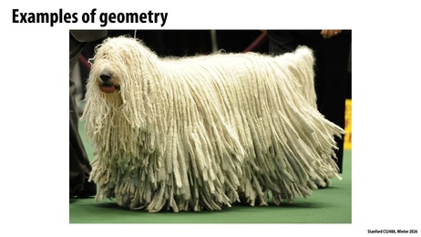 Thumbnail for slide 8